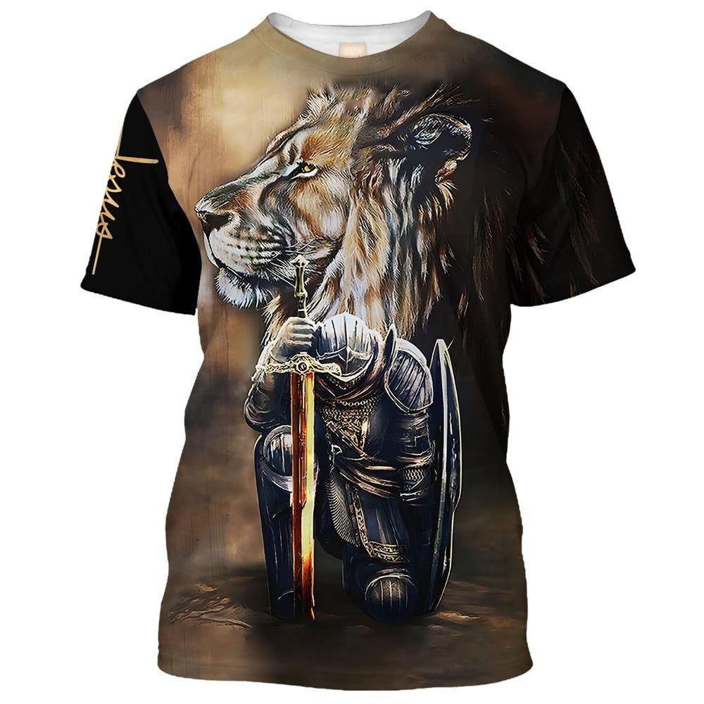 Armor of God Lion & Knight, easychoo.com