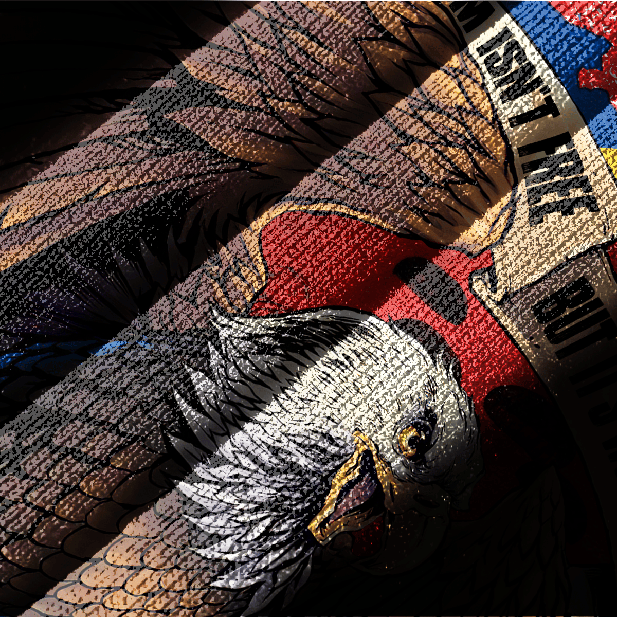 Independence Day, Freedom - Hoodie Half Zipper , Gifts for veterans