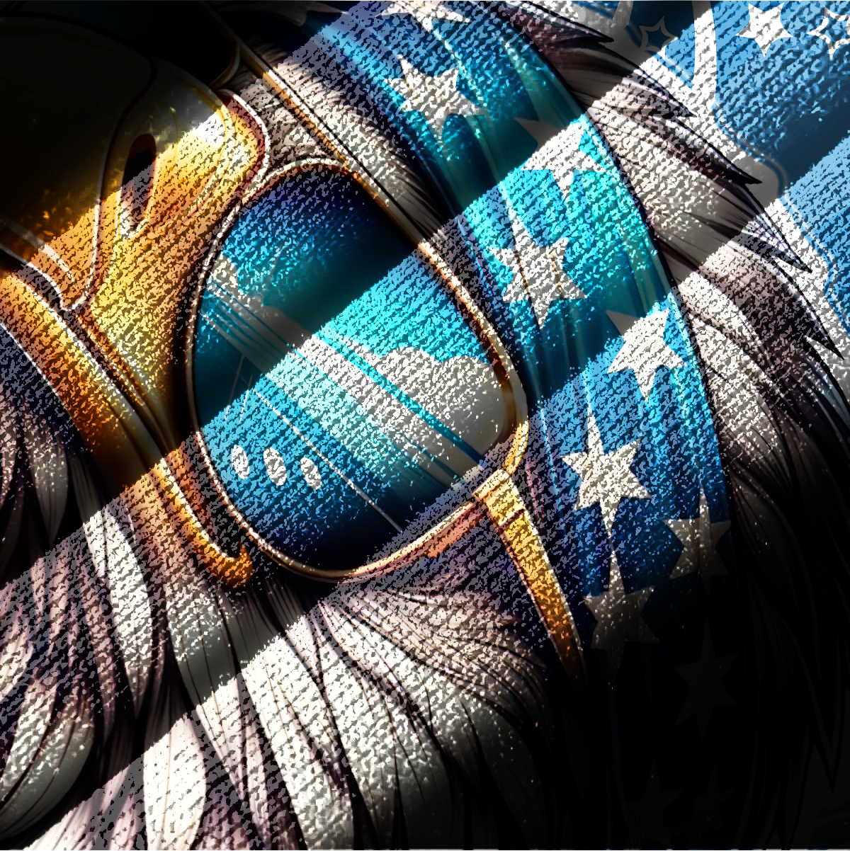 Independence Day 4th Of July Eagle - Hoodie Half Zipper , Gifts for veterans